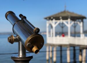 Fee for person-to-person session with Dr. Willem Lammers