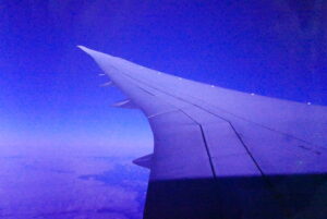 The Fields of Time – a Logosynthesis® Approach